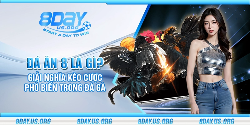 Đá ăn 8 là gì? Giải nghĩa kèo cược phổ biến trong đá gà