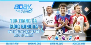 Top trang cá cược bóng đá uy tín giao diện đẹp dễ chơi dễ trúng