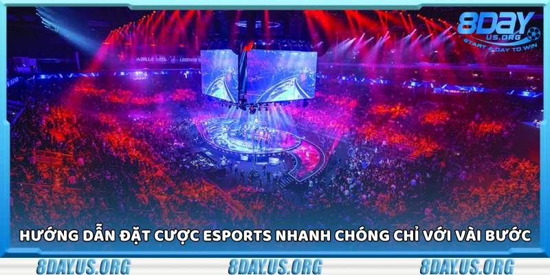 Cách đặt cược eSports nhanh chóng chỉ với vài bước