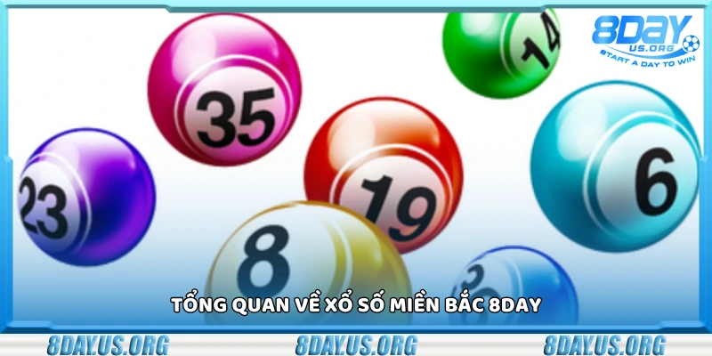 Bao quát về xổ số miền Bắc 8Day