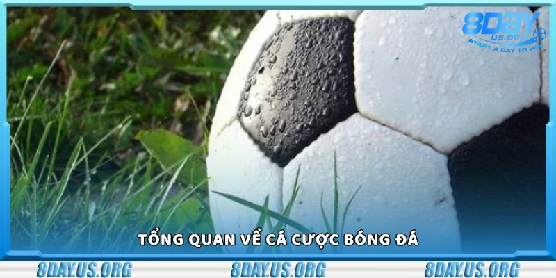 Khái quát chung về hình thức cá cược bóng đá