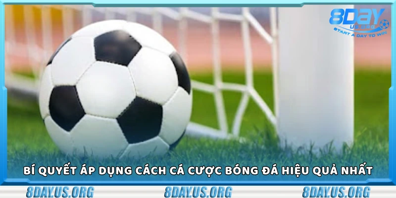 Bí quyết áp dụng cách cá cược bóng đá hiệu quả nhất