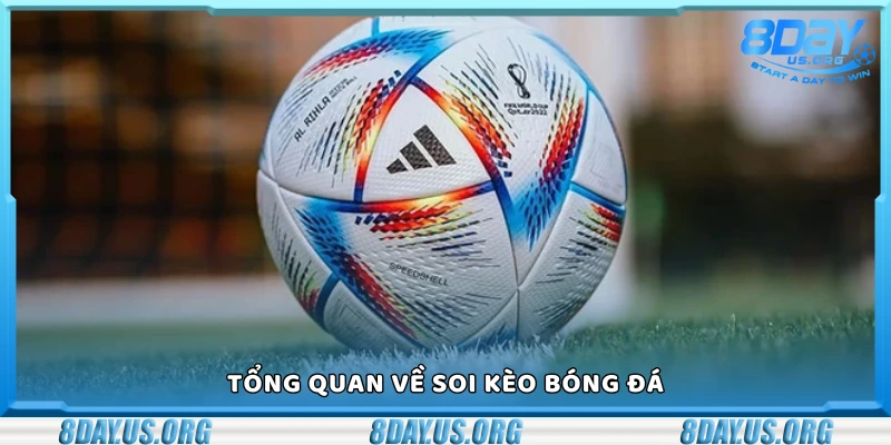Tìm hiểu tổng quan về soi kèo bóng đá