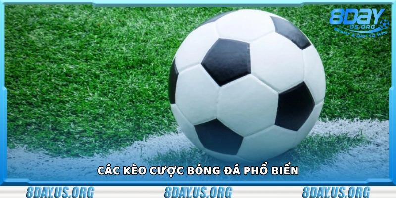 Một vài loại kèo cược bóng đá phổ biến