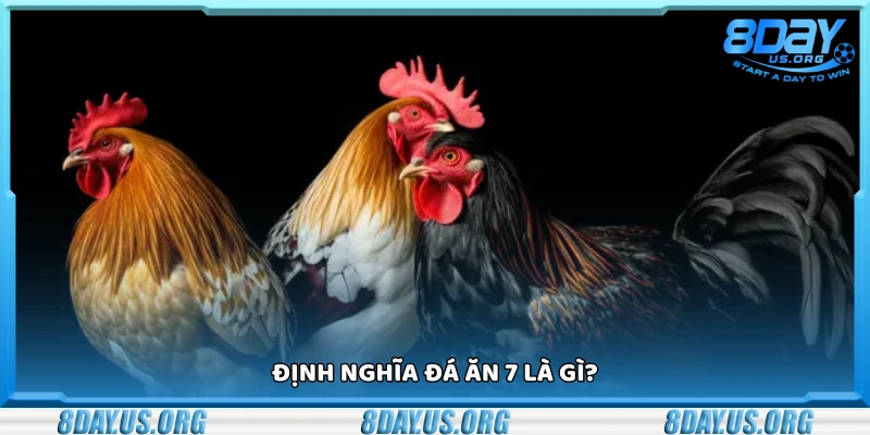 Sơ lược khái niệm đá ăn 7 là gì?