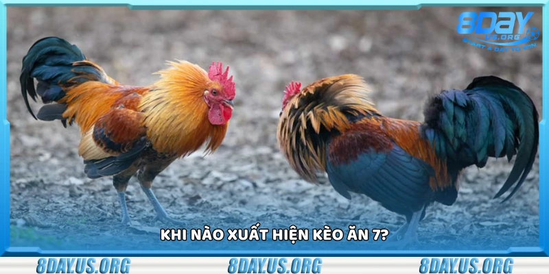 Thời điểm xuất hiện kèo ăn 7
