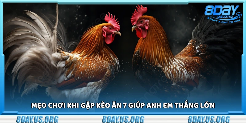 Mẹo chơi khi gặp kèo ăn 7 giúp anh em thắng lớn
