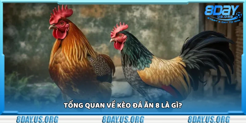 Đá ăn 8 là gì?