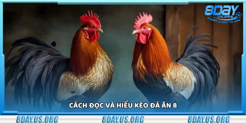Chi tiết cách đọc và hiểu kèo đá ăn 8