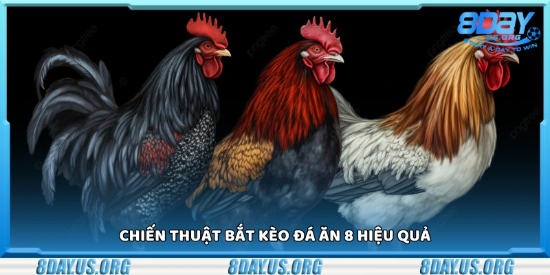 Các chiến thuật bắt kèo đá ăn 8 hiệu quả