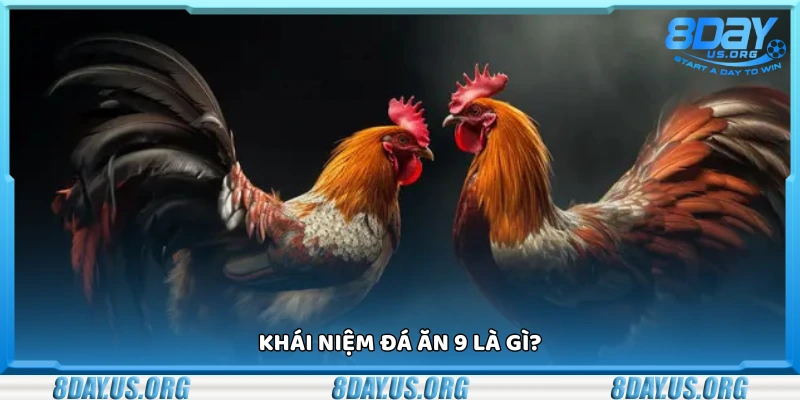 Đá ăn 9 là gì?