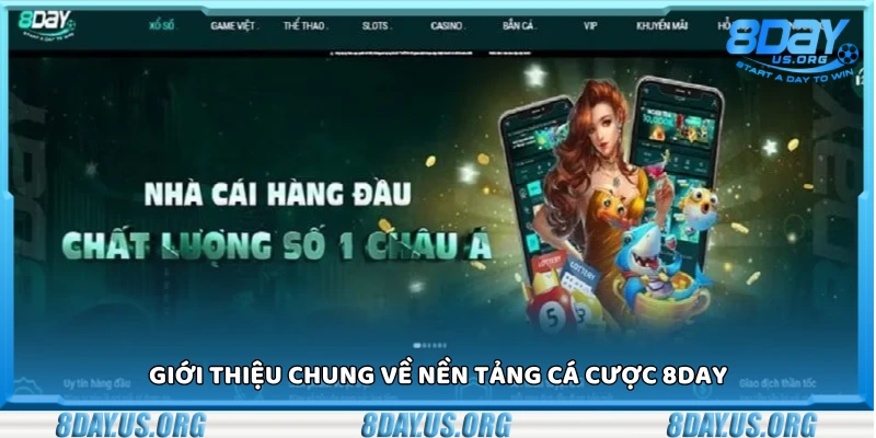 Thông tin chung về nền tảng cá cược 8day