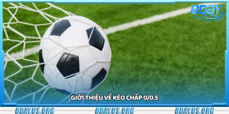 Tìm hiểu về kèo chấp 0/0.5