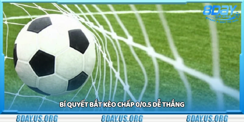 Bí quyết bắt kèo chấp 0/0.5 dễ thắng