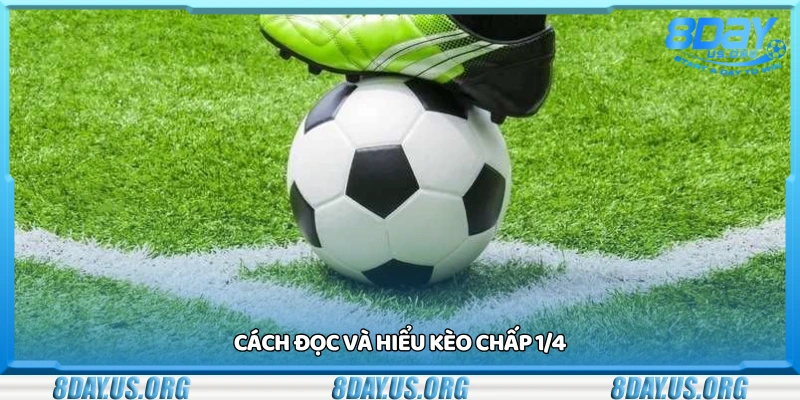 Hướng dẫn cách đọc và hiểu kèo chấp 1/4