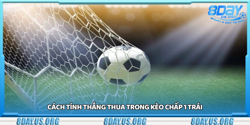 Hướng dẫn cách tính thắng thua trong kèo chấp 1 trái
