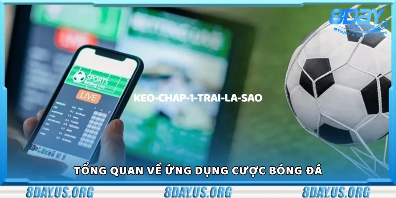 Sơ lược về ứng dụng cược bóng đá